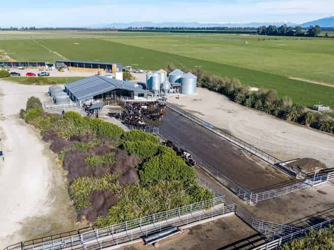 981 Back Track, Ashburton