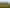 981 Back Track, Ashburton