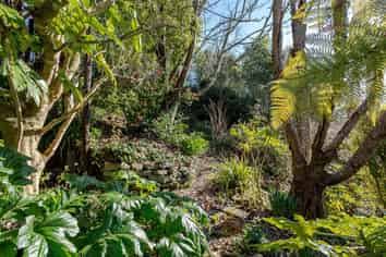 3 Carlson Street, Dannevirke