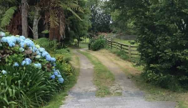 503 Allport Road, Paengaroa