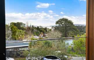 3/1 George Laurenson Lane, Mount Roskill