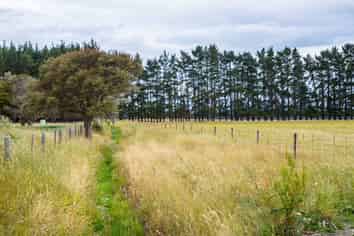 372 Wiltons Road, West Taratahi