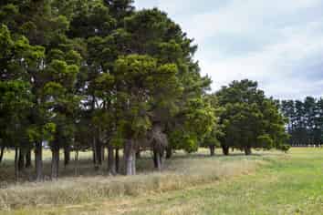 372 Wiltons Road, West Taratahi