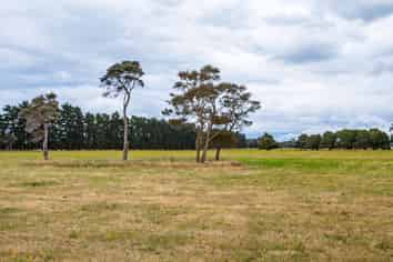 372 Wiltons Road, West Taratahi