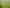 106 Vineyard Road, Te Kauwhata