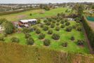 728 No 1 Road, Te Puke, Western Bay Of Plenty, Bay of Plenty