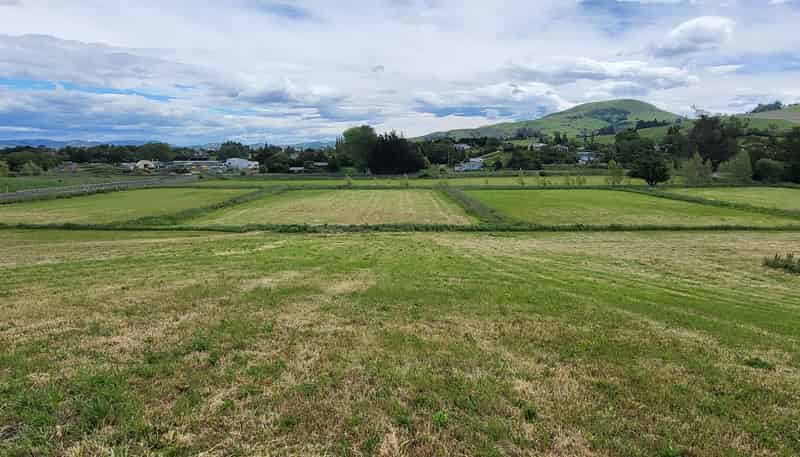 35 Edinburgh Street, Waikouaiti