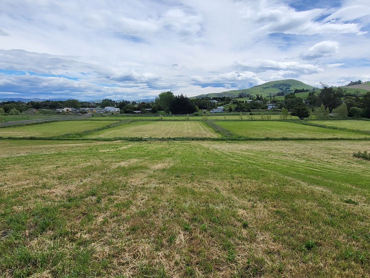 Untapped Potential, Waikouaiti