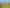 21 Melrose Avenue, Owhata