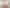 58 Tasman Street, The Wood