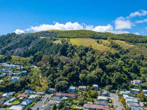 101 Cambria Street, The Wood