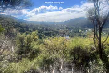 550 Blind Bay Road, Great Barrier Island
