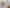 2/27 Edwin Freeman Place, Ranui