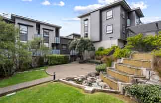 16 Harold Street, Mount Eden