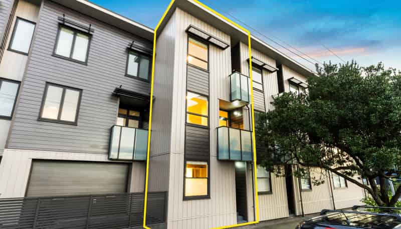 16 Harold Street, Mount Eden
