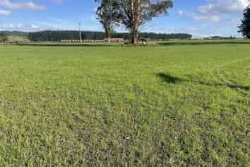  State Highway 1, Kinleith