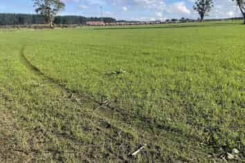  State Highway 1, Kinleith