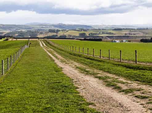 203 Robinson Road, Cave