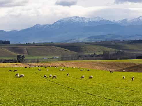 203 Robinson Road, Cave