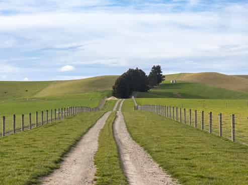 203 Robinson Road, Cave