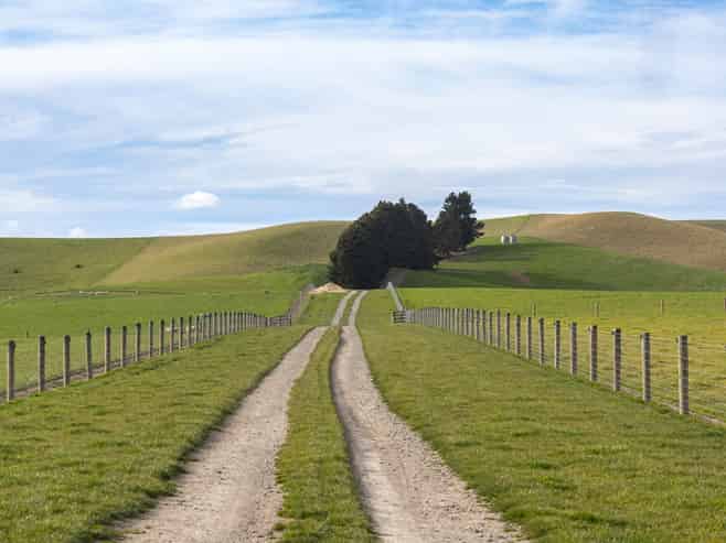 203 Robinson Road, Cave