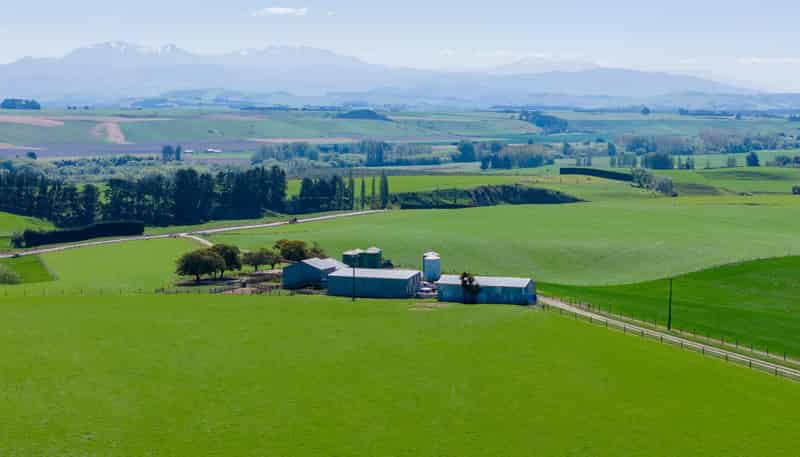 203 Robinson Road, Cave