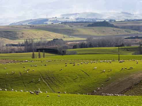 203 Robinson Road, Cave