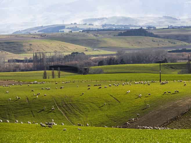 203 Robinson Road, Cave