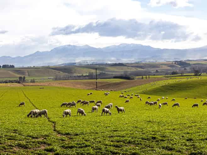 203 Robinson Road, Cave