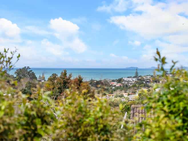 17 Maxwelton Drive, Mairangi Bay