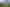 Central North Island - Address withheld