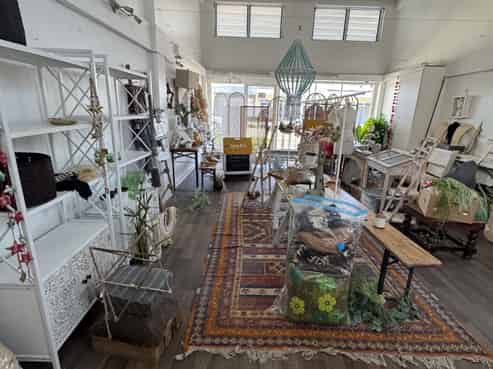 SET-UP SHOP IN THE CBD