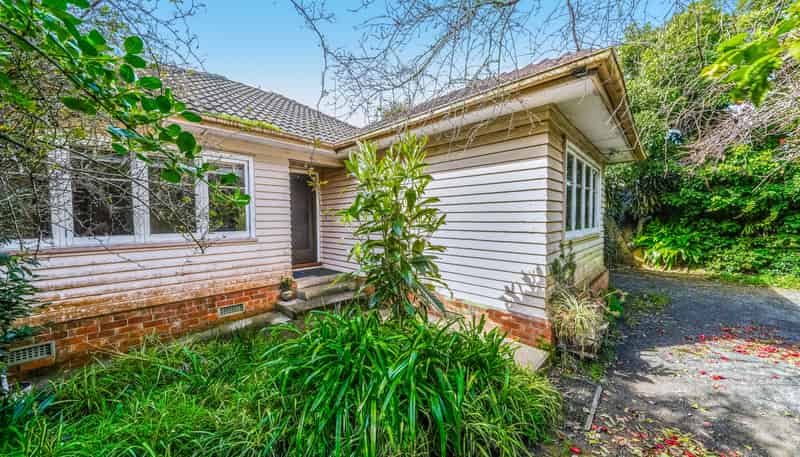 21 Vine Street, Mangere East