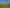 284 Shewan Road, Gordonton