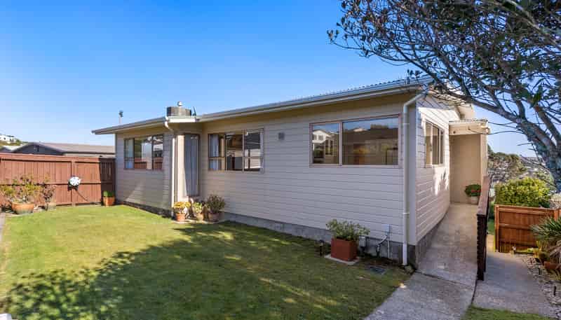 53 Fitzpatrick Street, Newlands