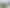 Brand new industrial build – Ready Q1 2026