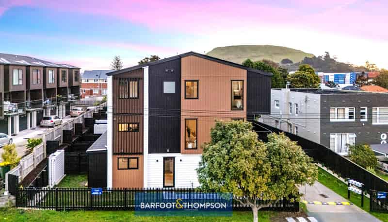 53 Court Crescent, Panmure