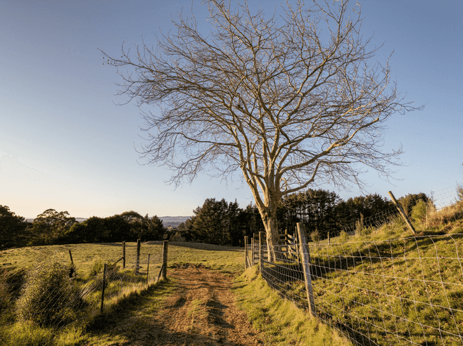 15D Junction Road (Lot 8), Te Puna