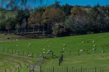 81A Pukekohe East Road, Pukekohe