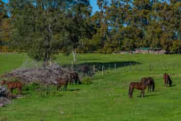 81A Pukekohe East Road, Pukekohe