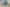 Wellington - Address withheld