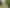 Waikato - Address withheld
