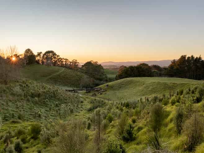 15D Junction Road (Lot 9), Te Puna