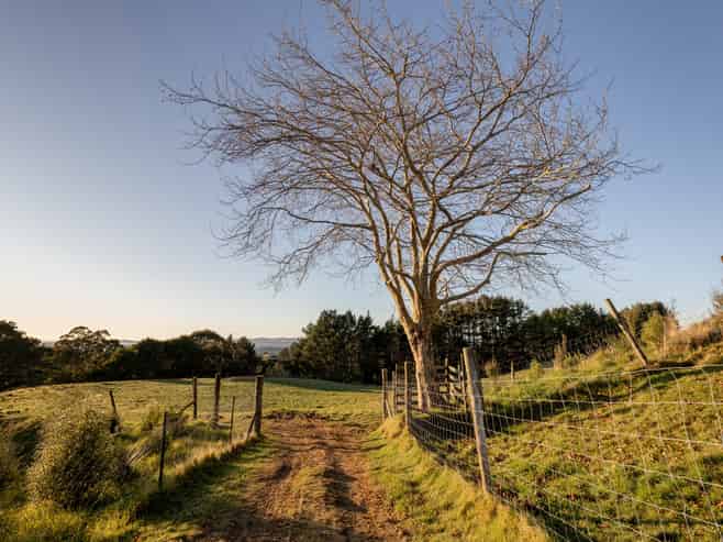 15D Junction Road (Lot 9), Te Puna