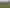 11 Tukare Loop, Te Anau