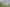 Hawkes Bay - Address withheld