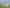 Hawkes Bay - Address withheld