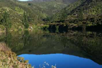 121 Watt Street, Featherston