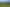 Manawatu / Whanganui - Address withheld