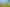 Hawkes Bay - Address withheld